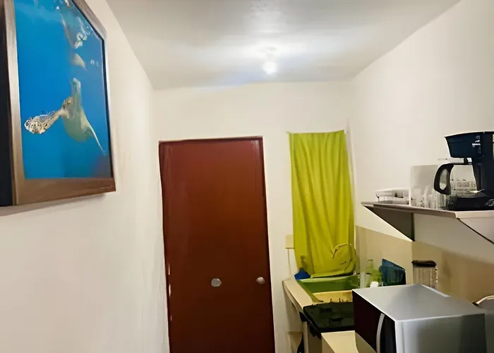 Casa Palmas Playa La Saladita Zihuatanejo
